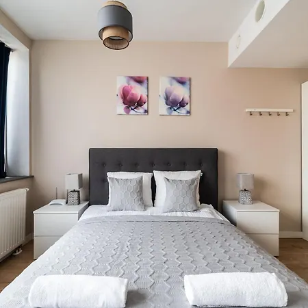 Rentplanet - Krawiecka * Wroclaw